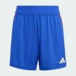 Adidas Tiro 24 Competition Training Shorts | JE1968
