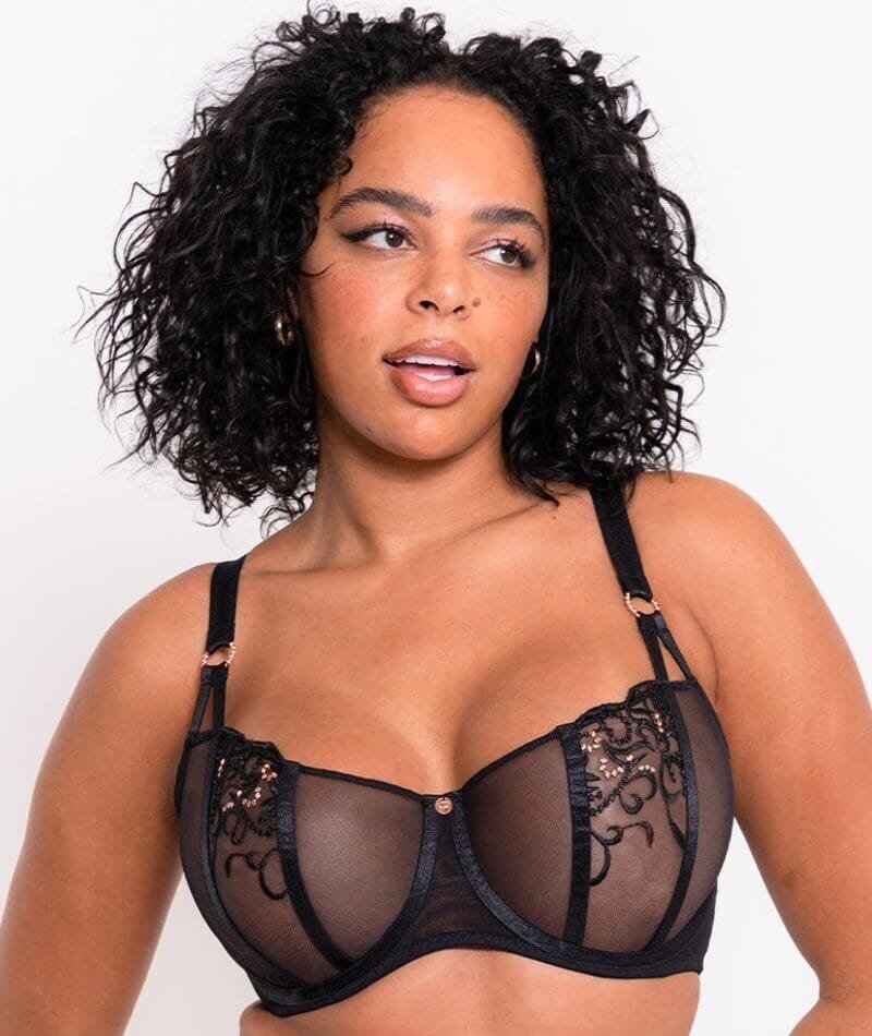 CU-BR-2316 (2) Scantilly Ornate Balcony Bra - Black - Image 1