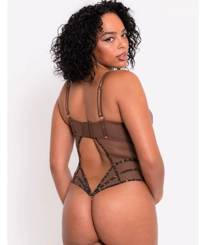 Scantilly Senses Plunge Bodysuit - Leopard Brown - Image 4