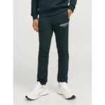 Jack and Jones Junior Forest River Sweatpants (12267461)