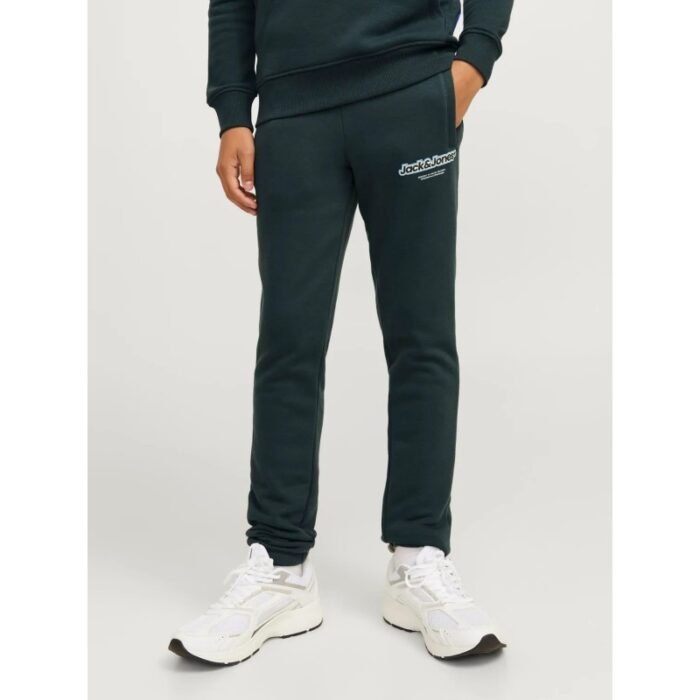 Jack and Jones Junior Forest River Sweatpants (12267461) - Image 2