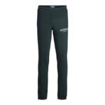 Jack and Jones Junior Forest River Sweatpants (12267461)