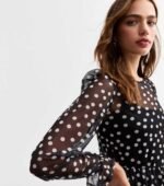Black Polka Dot Mesh Long Sleeve Mini Smock Dress - Image 3