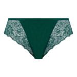 Thong Rainforest