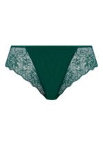 Thong Rainforest