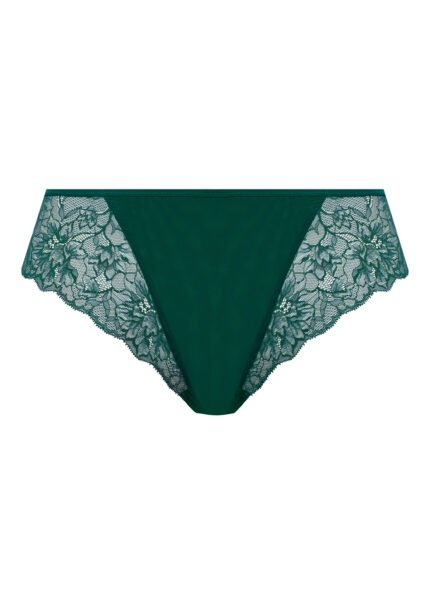Thong Rainforest