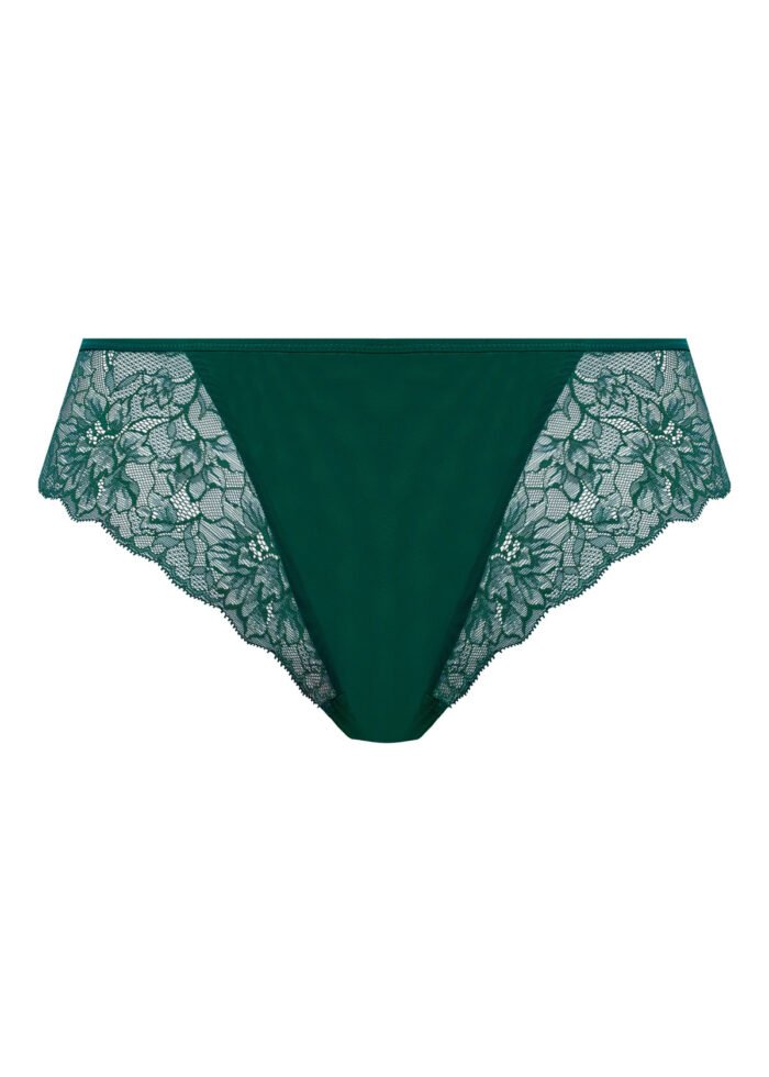 Thong Rainforest - Image 2